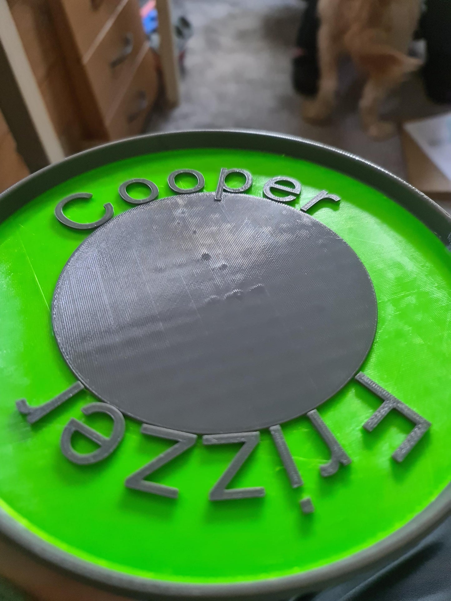 Personalized Dog Frisbee: Safe TPU Pet Toy, Vet-Recommended