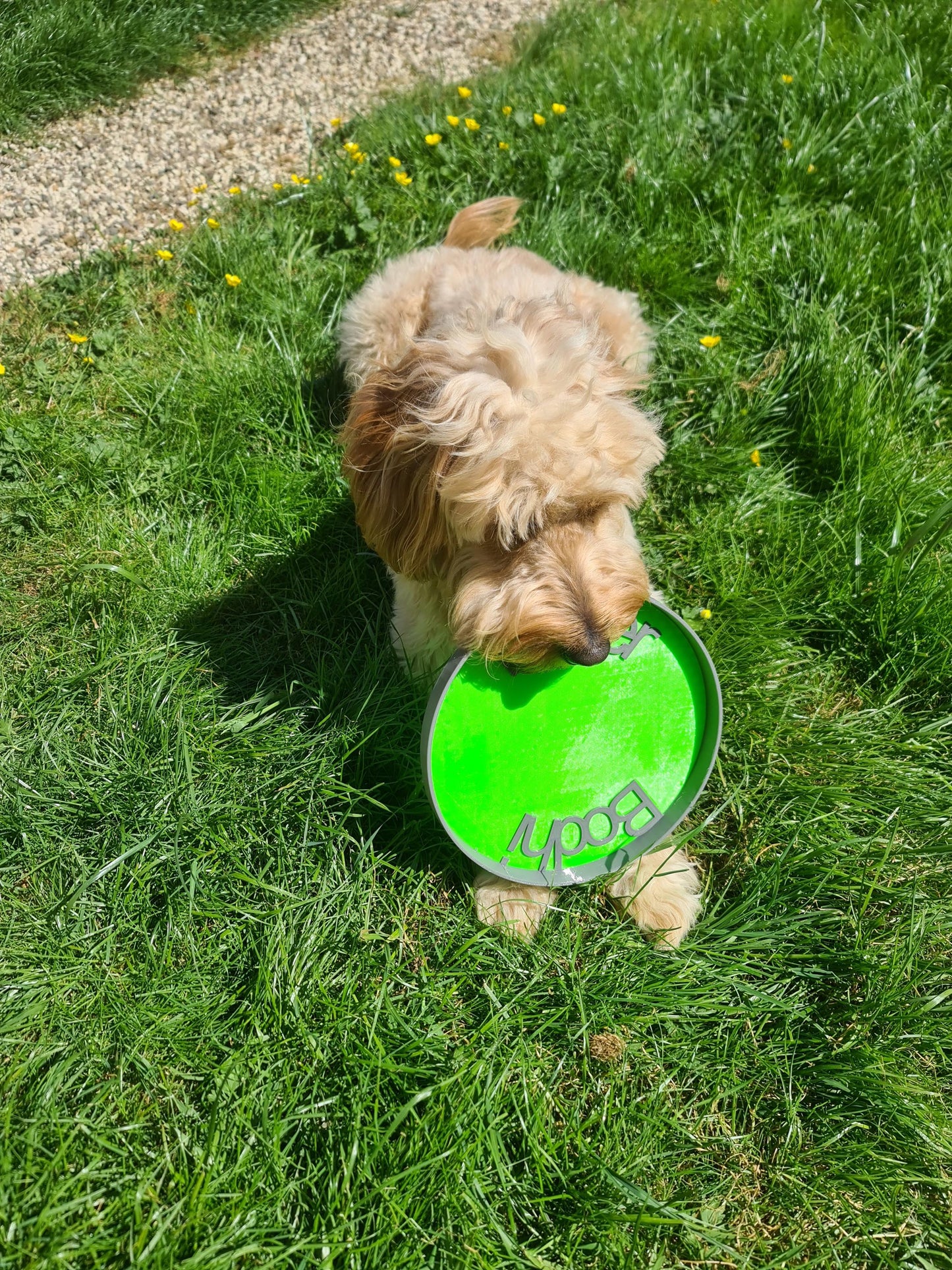 Personalized Dog Frisbee: Safe TPU Pet Toy, Vet-Recommended
