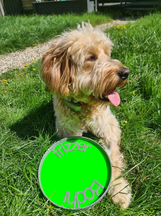 Personalized Dog Frisbee: Safe TPU Pet Toy, Vet-Recommended